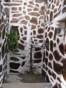 IMG_1910 IMG_1910