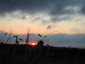 daybreak daybreak