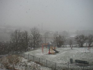 snow snow